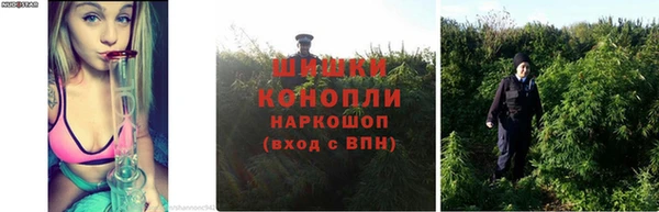 герыч Богородицк