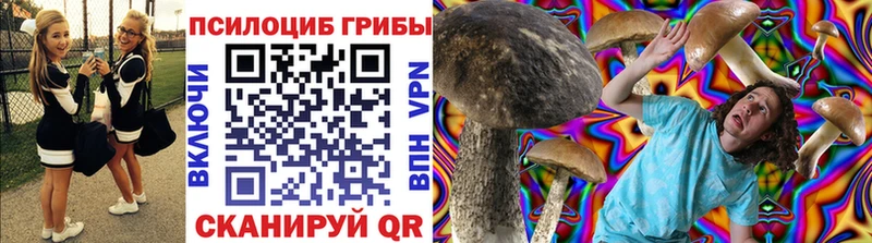 Псилоцибиновые грибы Magic Shrooms  наркота  Тихвин 